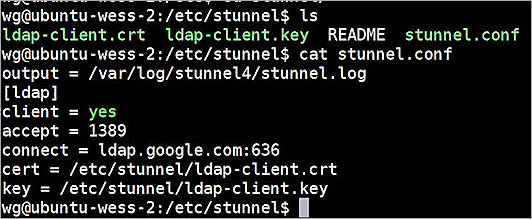 Screenshot of stunnel picture